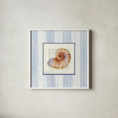 Sanibel Shell III by Avery Tillmon. Shown in a crisp white glass frame for a clean and minimalist style. Available as an archival giclee rolled canvas, fine art paper, or poster print. SKU 8914a.