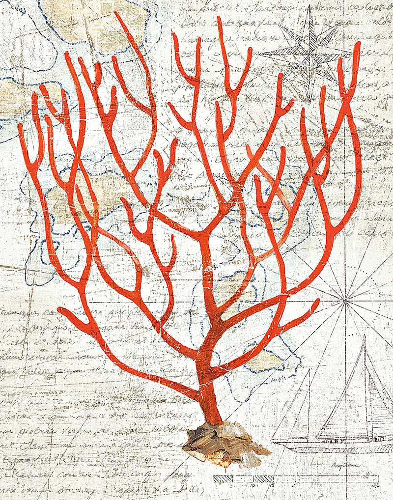 Textured Coral I by Avery Tillmon