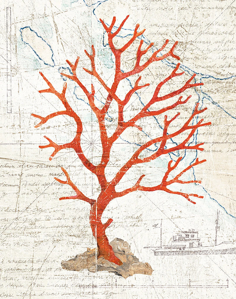 Textured Coral II by Avery Tillmon