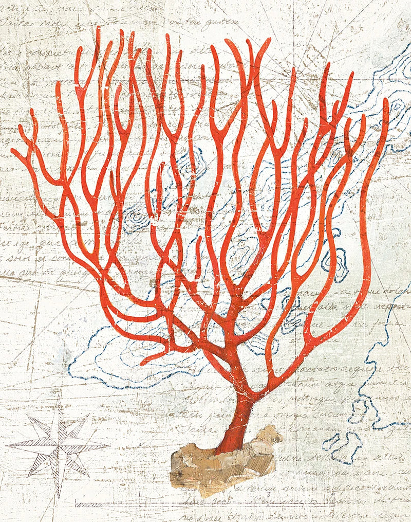 Textured Coral III by Avery Tillmon