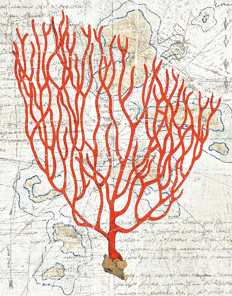 Textured Coral IV by Avery Tillmon