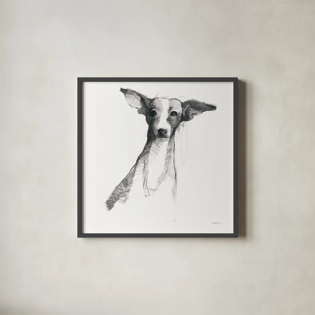 Thor by Avery Tillmon. Shown in a sleek black glass frame for a contemporary gallery look. Available as an archival giclee rolled canvas, fine art paper, or poster print. SKU 49667a.