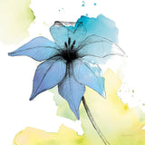 Watercolor Graphite Flower V by Avery Tillmon. SKU 29752a. Archival Giclee Fine art print for wall decor.