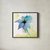 Watercolor Graphite Flower V by Avery Tillmon. Shown in a sleek black glass frame for a contemporary gallery look. Available as an archival giclee rolled canvas, fine art paper, or poster print. SKU 29752a.