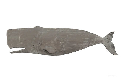 Whale on White by Avery Tillmon. SKU 65529i. Archival Giclee Fine art print for wall decor.