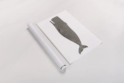 Whale on White by Avery Tillmon. shown as a rolled paper print. Available as archival giclee rolled canvas, fine art paper, or poster print. SKU 65529i.