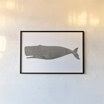 Whale on White by Avery Tillmon. shown as a paper print in a black flame. Available as a archival giclee rolled canvas, fine art paper, or poster print. SKU 65529i.