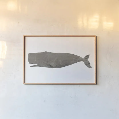 Whale on White by Avery Tillmon. shown as a paper print in a natural frame. Available as a archival giclee rolled canvas, fine art paper, or poster print. SKU 65529i.