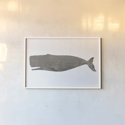 Whale on White by Avery Tillmon. shown as a paper print in a white frame. Available as a archival giclee rolled canvas, fine art paper, or poster print. SKU 65529i.