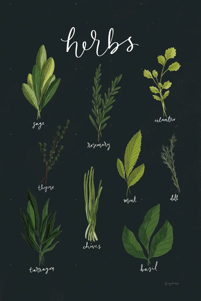 Herbs I Black by Becky Thorns. SKU 64682h. Archival Giclee Fine art print for wall decor.