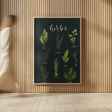 Herbs I Black by Becky Thorns. shown as over sized large wall art. Available as an archival giclee rolled canvas, fine art paper, or poster print. SKU 64682h.