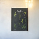 Herbs I Black by Becky Thorns. shown as a paper print in a black flame. Available as a archival giclee rolled canvas, fine art paper, or poster print. SKU 64682h.