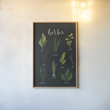 Herbs I Black by Becky Thorns. shown as a paper print in a natural frame. Available as a archival giclee rolled canvas, fine art paper, or poster print. SKU 64682h.