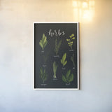 Herbs I Black by Becky Thorns. shown as a paper print in a white frame. Available as a archival giclee rolled canvas, fine art paper, or poster print. SKU 64682h.