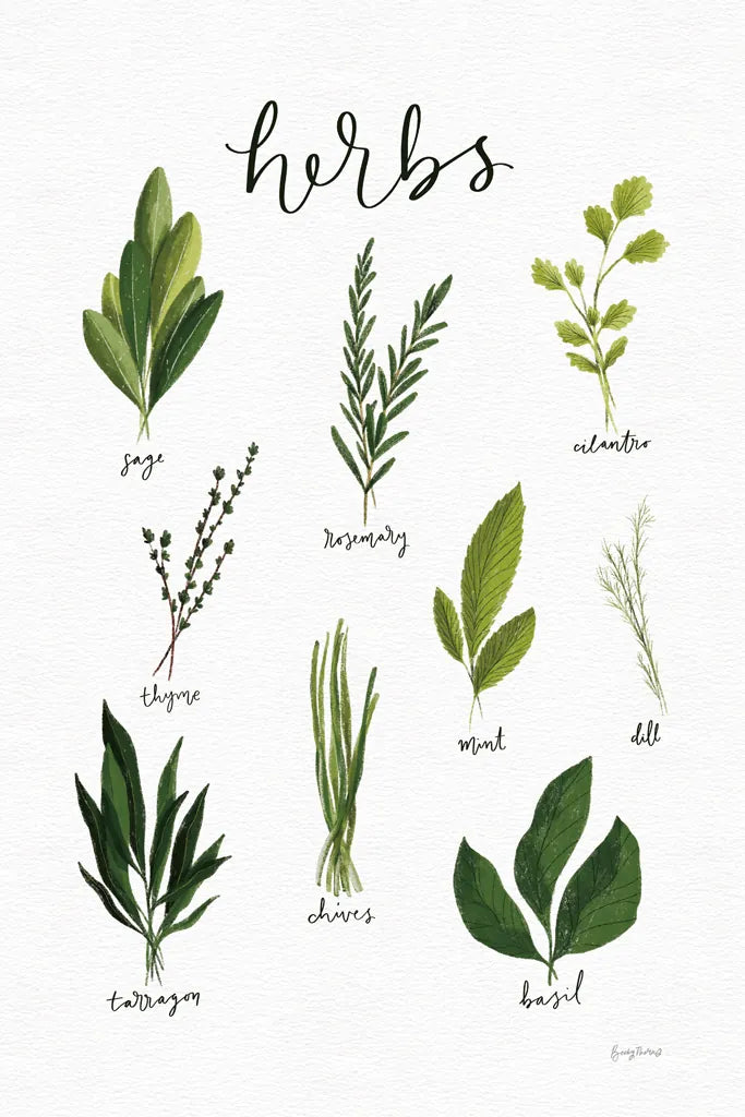 Herbs I White by Becky Thorns. SKU 64689h. Archival Giclee Fine art print for wall decor.