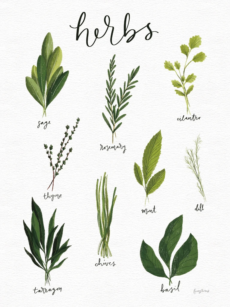 Herbs I White Crop by Becky Thorns