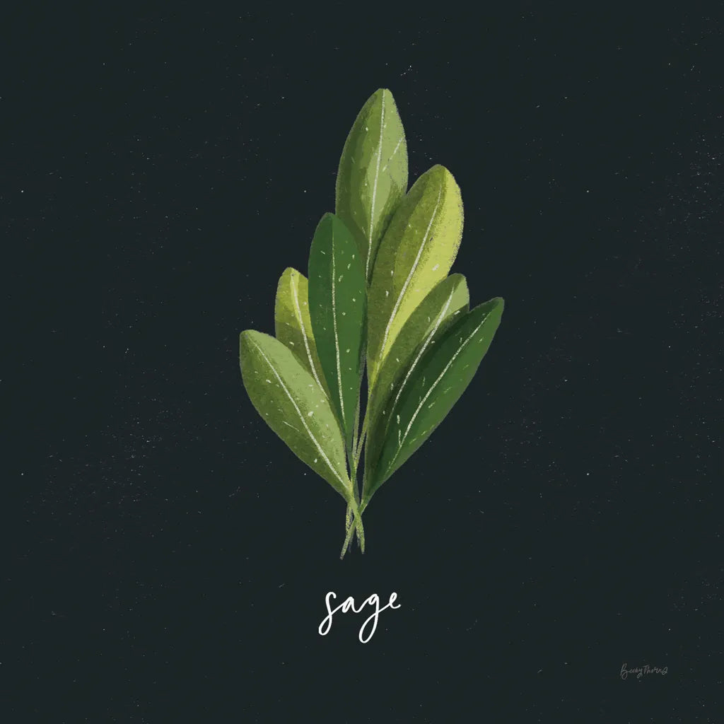 Herbs II Black by Becky Thorns. SKU 64683a. Archival Giclee Fine art print for wall decor.