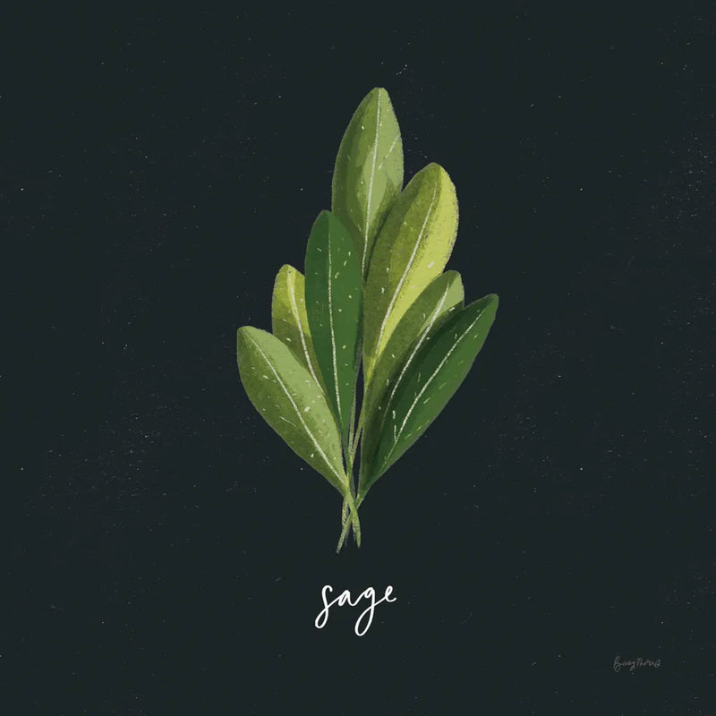 Herbs II Black by Becky Thorns. SKU 64683a. Archival Giclee Fine art print for wall decor.