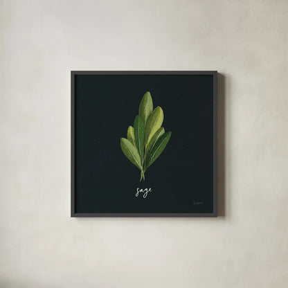 Herbs II Black by Becky Thorns. Shown in a sleek black glass frame for a contemporary gallery look. Available as an archival giclee rolled canvas, fine art paper, or poster print. SKU 64683a.