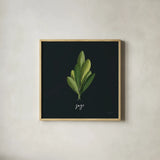 Herbs II Black by Becky Thorns. Shown in a natural wood glass frame for a timeless modern aesthetic. Available as an archival giclee rolled canvas, fine art paper, or poster print. SKU 64683a.