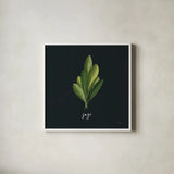 Herbs II Black by Becky Thorns. Shown in a crisp white glass frame for a clean and minimalist style. Available as an archival giclee rolled canvas, fine art paper, or poster print. SKU 64683a.