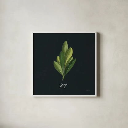 Herbs II Black by Becky Thorns. Shown in a crisp white glass frame for a clean and minimalist style. Available as an archival giclee rolled canvas, fine art paper, or poster print. SKU 64683a.