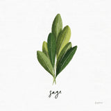 Herbs II White by Becky Thorns. SKU 64690a. Archival Giclee Fine art print for wall decor.