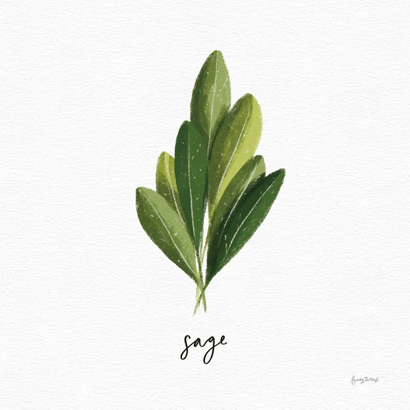 Herbs II White by Becky Thorns. SKU 64690a. Archival Giclee Fine art print for wall decor.