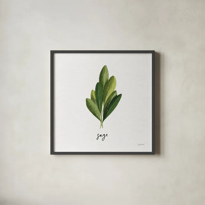 Herbs II White by Becky Thorns. Shown in a sleek black glass frame for a contemporary gallery look. Available as an archival giclee rolled canvas, fine art paper, or poster print. SKU 64690a.