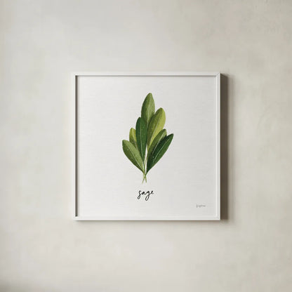 Herbs II White by Becky Thorns. Shown in a crisp white glass frame for a clean and minimalist style. Available as an archival giclee rolled canvas, fine art paper, or poster print. SKU 64690a.