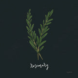 Herbs III Black by Becky Thorns. SKU 64684a. Archival Giclee Fine art print for wall decor.
