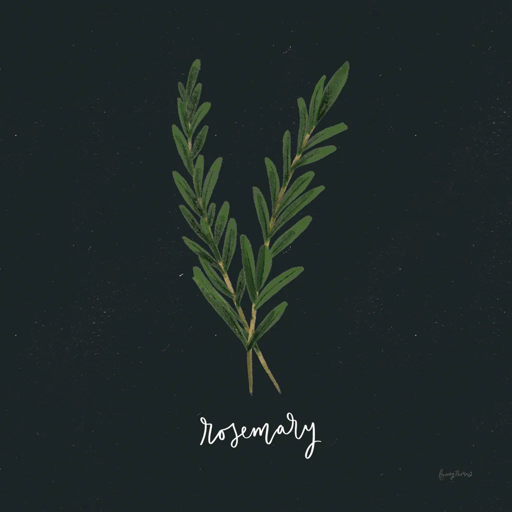 Herbs III Black by Becky Thorns. SKU 64684a. Archival Giclee Fine art print for wall decor.