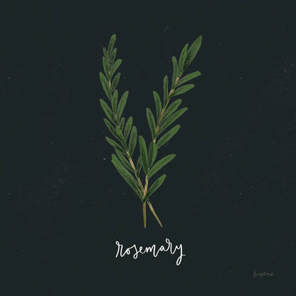 Herbs III Black by Becky Thorns. SKU 64684a. Archival Giclee Fine art print for wall decor.