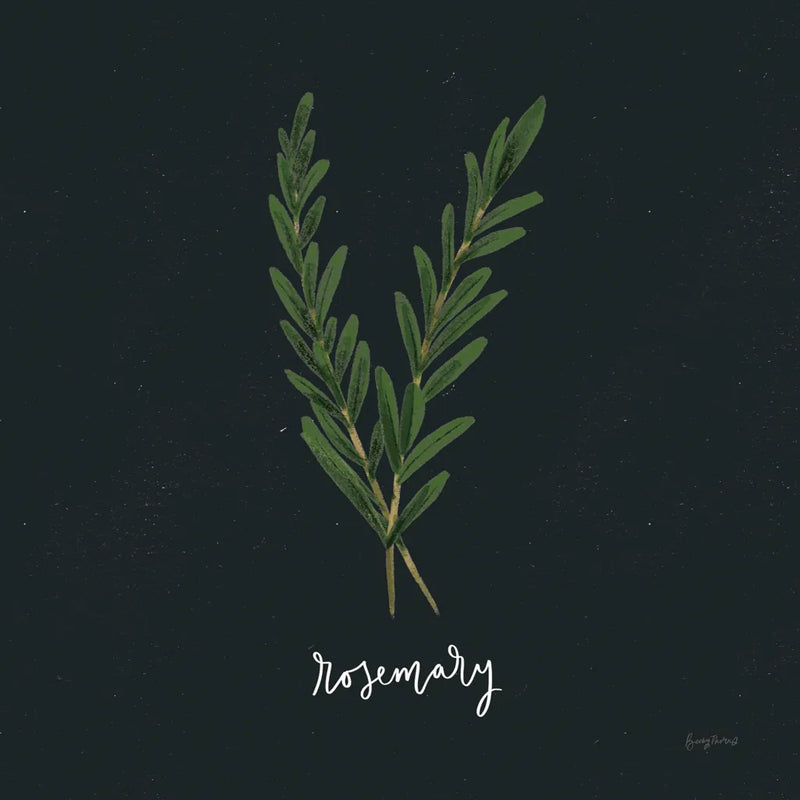 Herbs III Black by Becky Thorns. SKU 64684a. Archival Giclee Fine art print for wall decor.