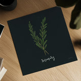 Herbs III Black by Becky Thorns. Shown as a detailed flat fine art print, highlighting archival giclee quality. Available as an archival giclee rolled canvas, fine art paper, or poster print. SKU 64684a.