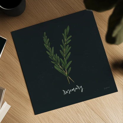 Herbs III Black by Becky Thorns. Shown as a detailed flat fine art print, highlighting archival giclee quality. Available as an archival giclee rolled canvas, fine art paper, or poster print. SKU 64684a.