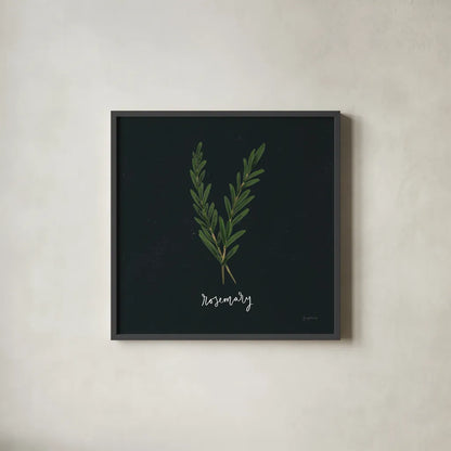 Herbs III Black by Becky Thorns. Shown in a sleek black glass frame for a contemporary gallery look. Available as an archival giclee rolled canvas, fine art paper, or poster print. SKU 64684a.