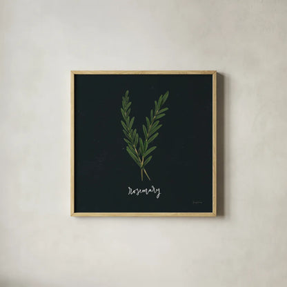 Herbs III Black by Becky Thorns. Shown in a natural wood glass frame for a timeless modern aesthetic. Available as an archival giclee rolled canvas, fine art paper, or poster print. SKU 64684a.