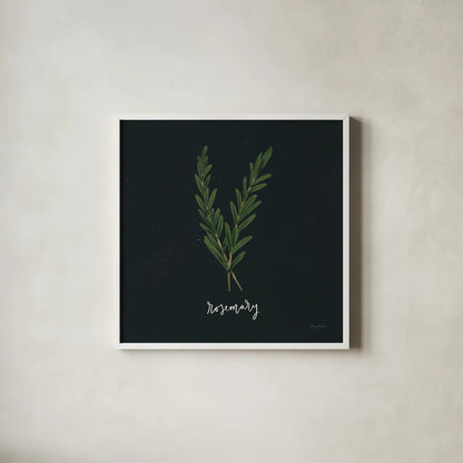 Herbs III Black by Becky Thorns. Shown in a crisp white glass frame for a clean and minimalist style. Available as an archival giclee rolled canvas, fine art paper, or poster print. SKU 64684a.