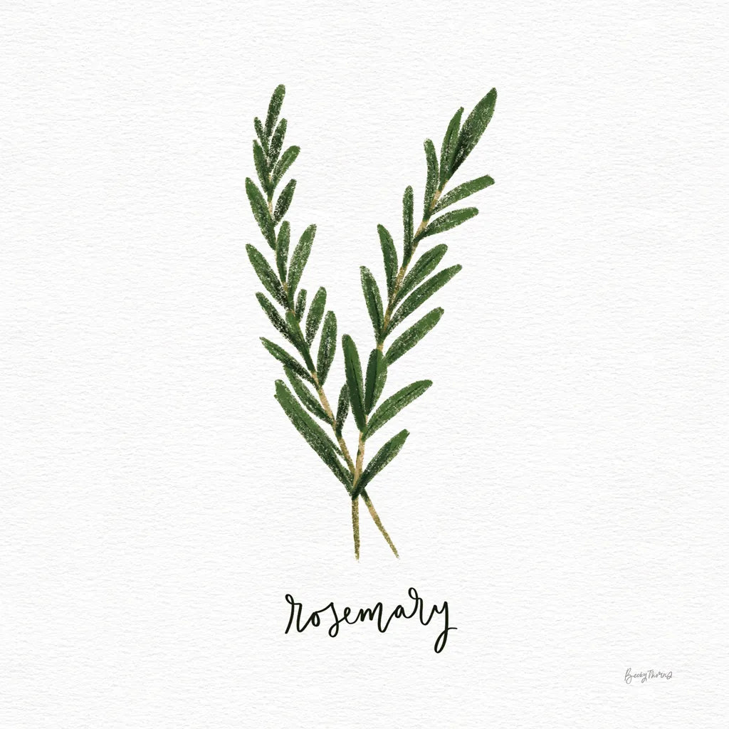 Herbs III White by Becky Thorns. SKU 64691a. Archival Giclee Fine art print for wall decor.