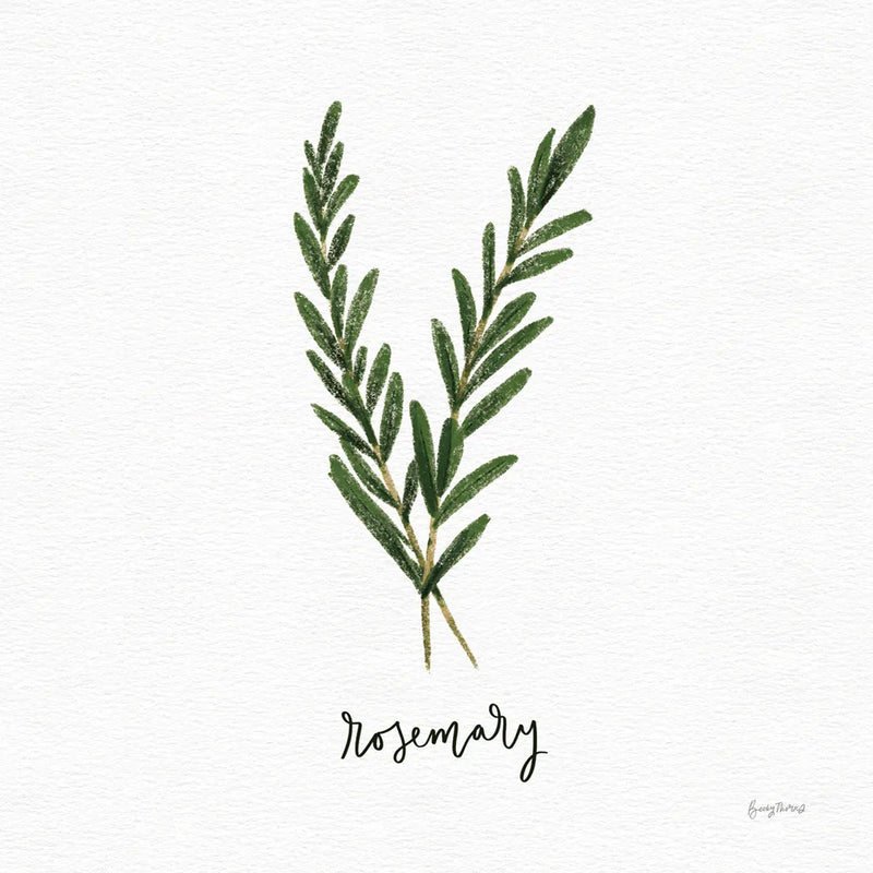 Herbs III White by Becky Thorns. SKU 64691a. Archival Giclee Fine art print for wall decor.