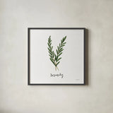 Herbs III White by Becky Thorns. Shown in a sleek black glass frame for a contemporary gallery look. Available as an archival giclee rolled canvas, fine art paper, or poster print. SKU 64691a.