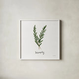 Herbs III White by Becky Thorns. Shown in a crisp white glass frame for a clean and minimalist style. Available as an archival giclee rolled canvas, fine art paper, or poster print. SKU 64691a.