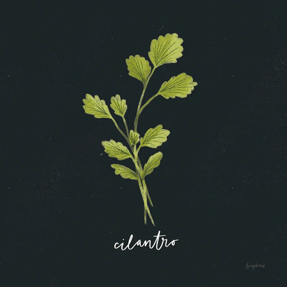 Herbs IV Black by Becky Thorns. SKU 64685a. Archival Giclee Fine art print for wall decor.