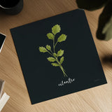 Herbs IV Black by Becky Thorns. Shown as a detailed flat fine art print, highlighting archival giclee quality. Available as an archival giclee rolled canvas, fine art paper, or poster print. SKU 64685a.