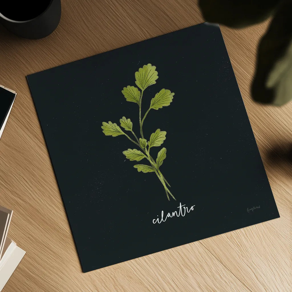 Herbs IV Black by Becky Thorns. Shown as a detailed flat fine art print, highlighting archival giclee quality. Available as an archival giclee rolled canvas, fine art paper, or poster print. SKU 64685a.