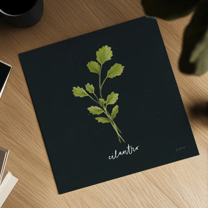 Herbs IV Black by Becky Thorns. Shown as a detailed flat fine art print, highlighting archival giclee quality. Available as an archival giclee rolled canvas, fine art paper, or poster print. SKU 64685a.