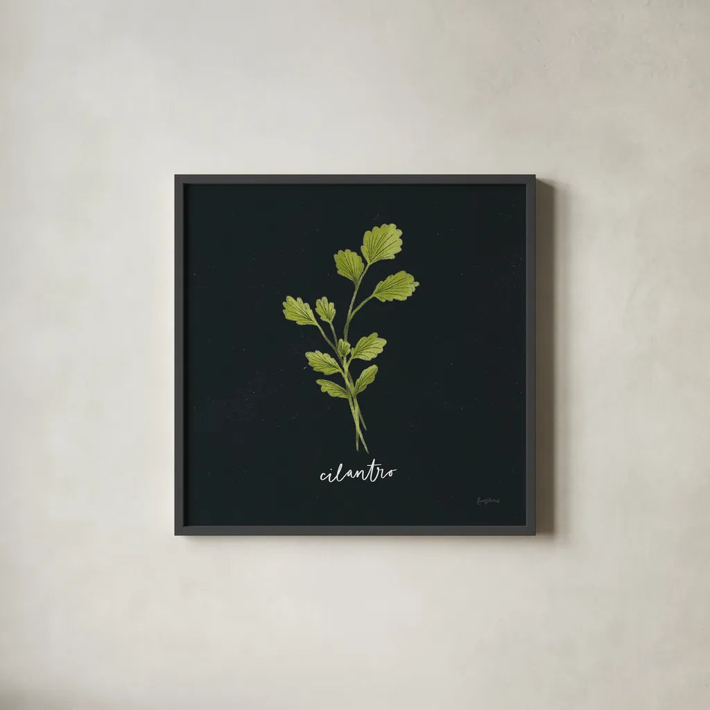 Herbs IV Black by Becky Thorns. Shown in a sleek black glass frame for a contemporary gallery look. Available as an archival giclee rolled canvas, fine art paper, or poster print. SKU 64685a.