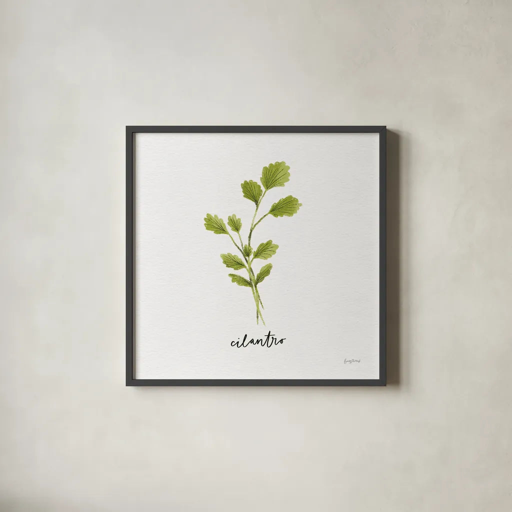 Herbs IV White by Becky Thorns. Shown in a sleek black glass frame for a contemporary gallery look. Available as an archival giclee rolled canvas, fine art paper, or poster print. SKU 64692a.