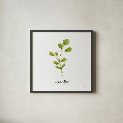 Herbs IV White by Becky Thorns. Shown in a sleek black glass frame for a contemporary gallery look. Available as an archival giclee rolled canvas, fine art paper, or poster print. SKU 64692a.